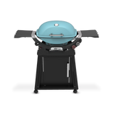 Q 2800N+ Gas Grill with Stand (Liquid Propane)