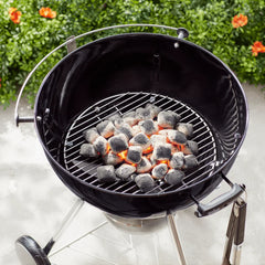 Charcoal Grate