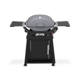 Q 2800N+ Gas Grill with Stand (Liquid Propane)
