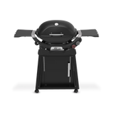 Q 2800N+ Gas Grill with Stand (Liquid Propane)