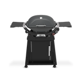 Q 2800N+ Gas Grill with Stand (Liquid Propane)