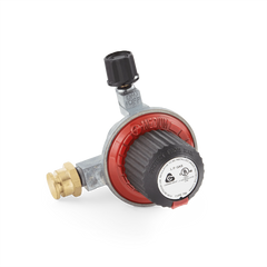 Gas Valve and Regulator Assembly
