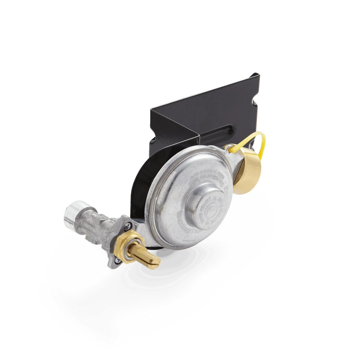 Gas Valve and Regulator Assembly