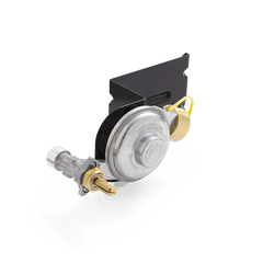 Gas Valve and Regulator Assembly