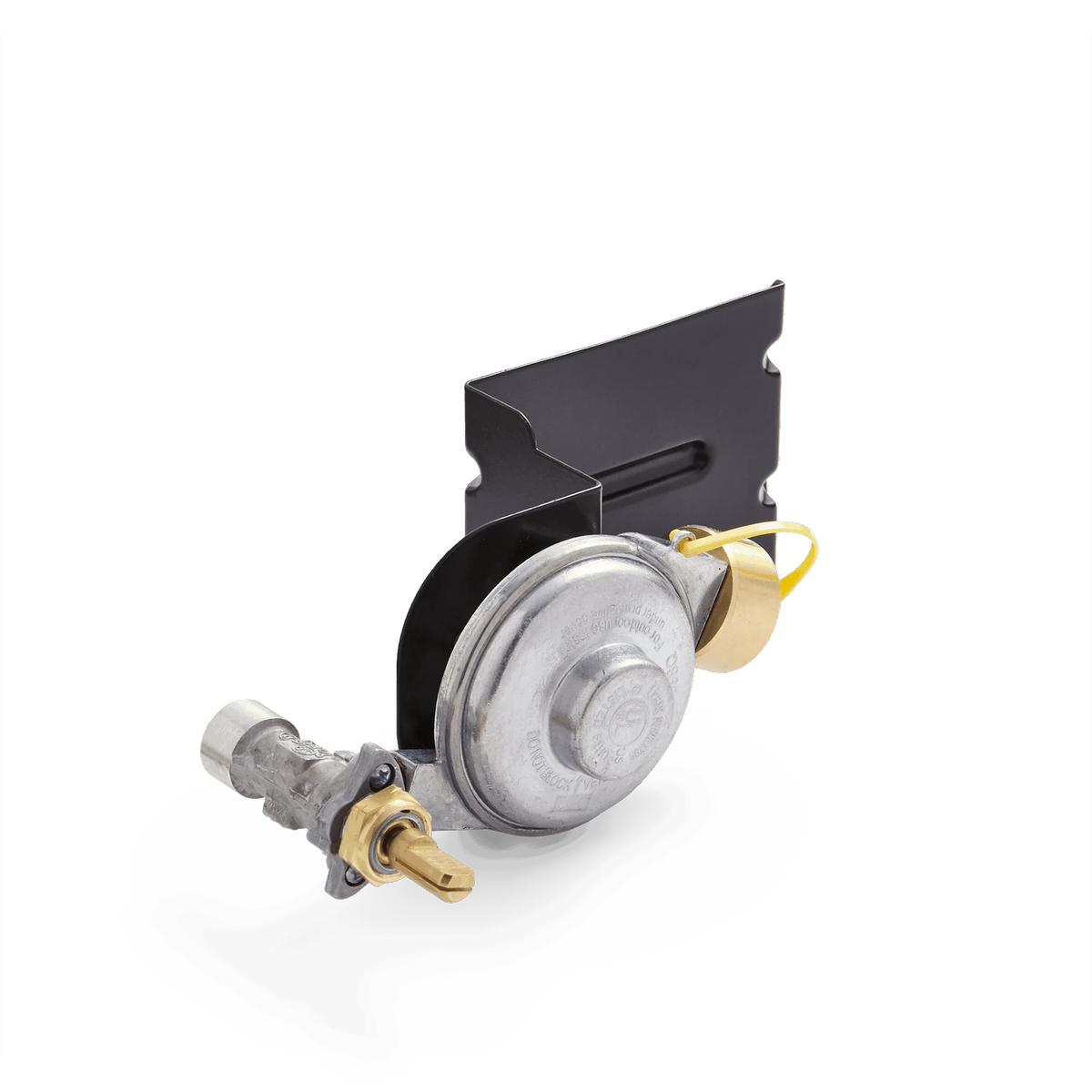 Gas Valve and Regulator Assembly
