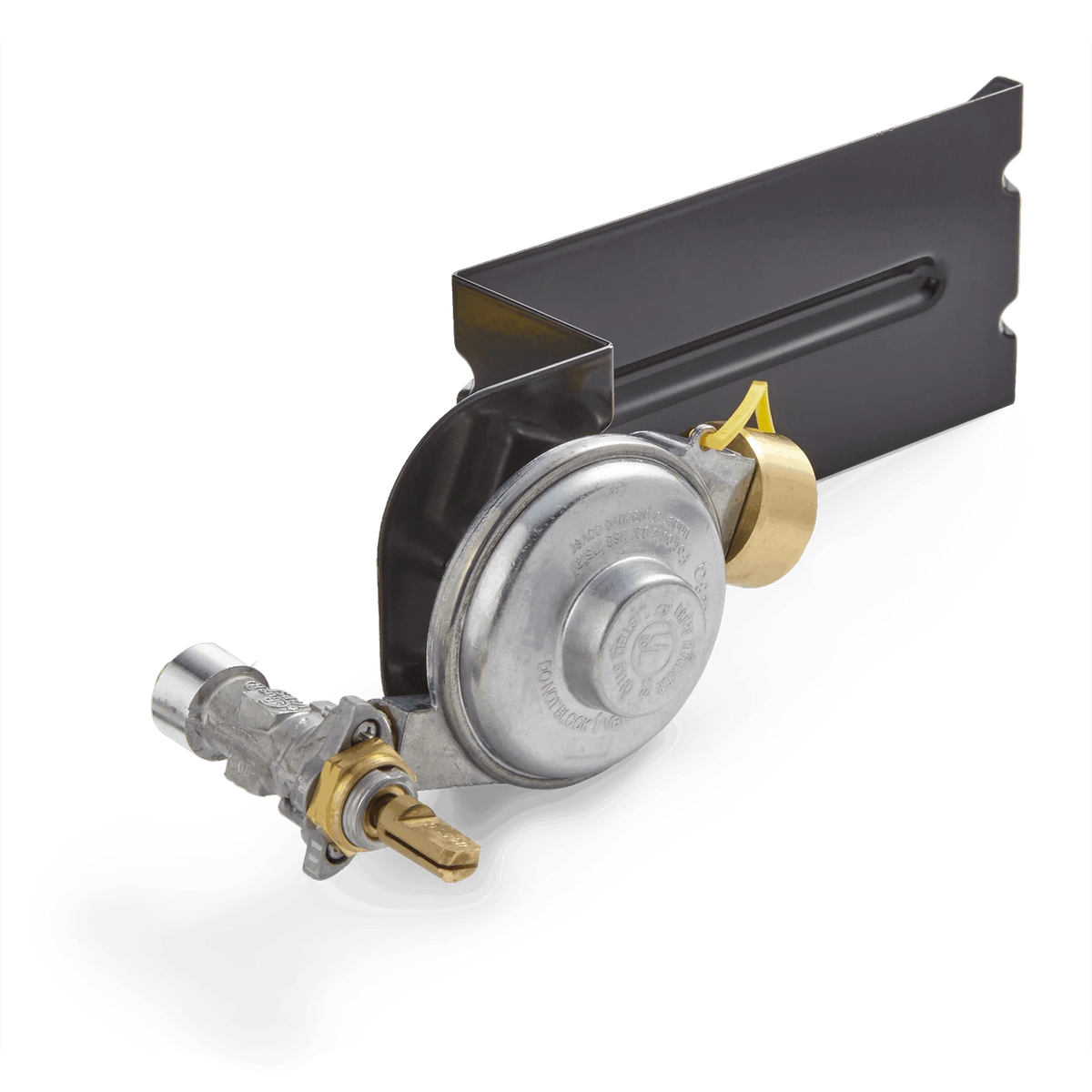 Gas Valve and Regulator Assembly