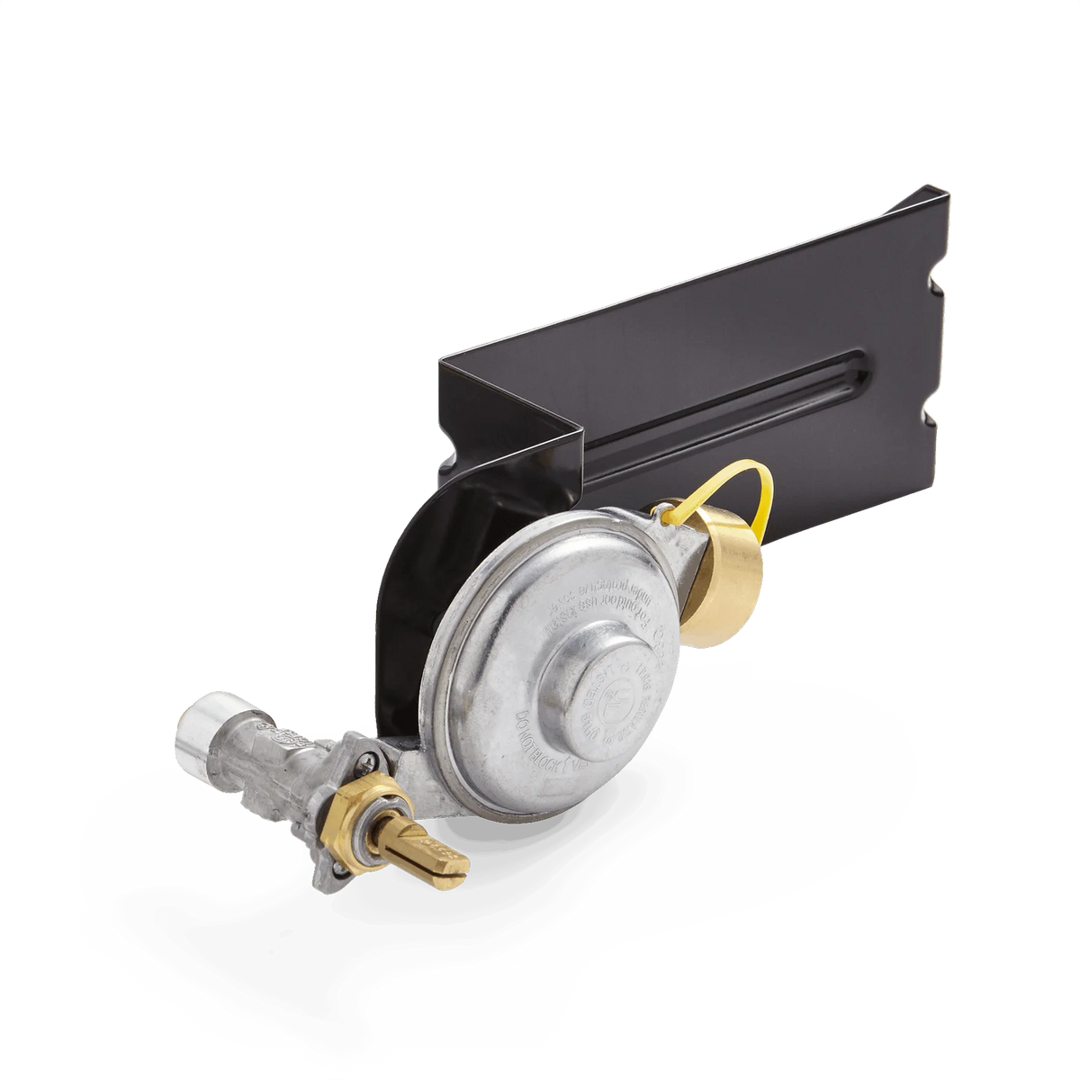 Gas Valve and Regulator Assembly